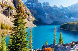 Image result for Banff National Park Tours