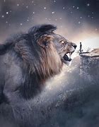 Image result for Roaring Angry Lion Wallpaper