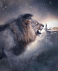 Image result for Angry Lion in the Dark Wallpaper