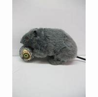 Image result for Halloween Rat Decorations