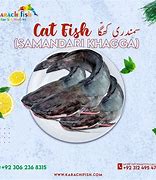 Image result for Calikuranchu Fish