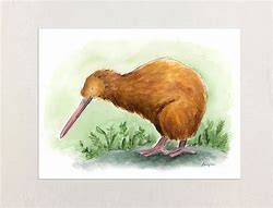 Image result for Kiwi Bird Fan Art