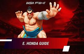 Image result for E.Honda SFV