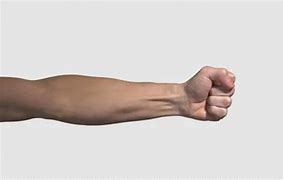 Image result for Arm Punch