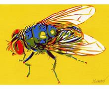 Image result for Insect Process Art