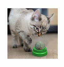 Image result for Catnip Balls Cat Toys