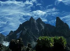 Image result for Gate of Mount Kenya