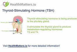 Image result for TSH Molecule