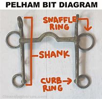 Image result for Rugby Pelham Bit