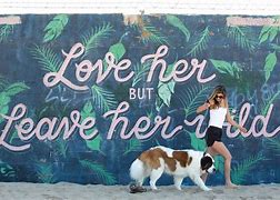 Image result for Silver Strand Oxnard