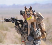 Image result for Military War Dogs