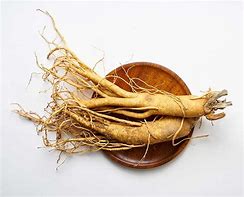 Image result for Tennessee Ginseng