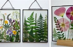 Image result for Dried Flower Art