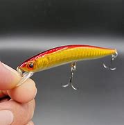 Image result for Minnow Craink Baits