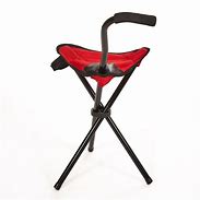 Image result for Best Walking Cane with Seat