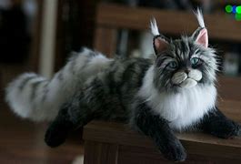 Image result for Maine Coon Cat Plush