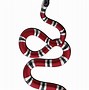 Image result for Gucci Snake PNG