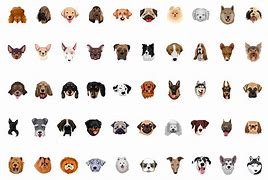 Image result for Dog Breed Faces