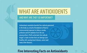 Image result for Anti-Oxidation Food