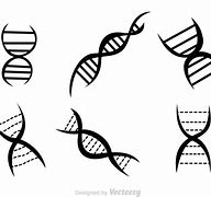 Image result for Double Helix Black and White