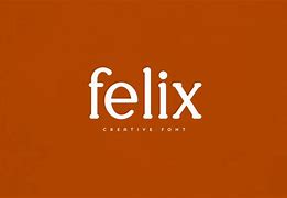 Image result for Felix X-symbol