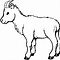 Image result for Brown N White Male Goat