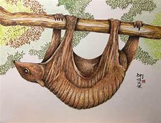 Image result for Colugo Painting