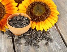 Image result for Flowers Seeds