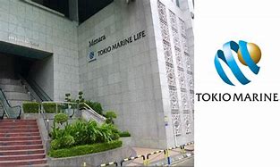 Image result for Tokio Marine