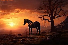 Image result for Beautiful Horse at Sunrise