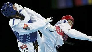 Image result for Taekwondo Strikes