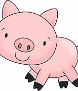 Image result for Cute Pig PNG