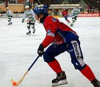 Image result for World Cup Bandy