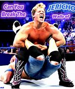 Image result for The Walls of Jericho WWE