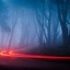 Image result for Foggy Morning Aesthetic