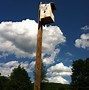 Image result for Kestrel Nest Box