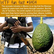 Image result for Weird Fact