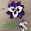 Image result for Purple Bouquets Calla Lilies and Orchids