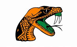 Image result for FAMU Snake PNG