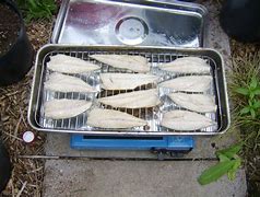 Image result for How to Smoke Mackerel at Home