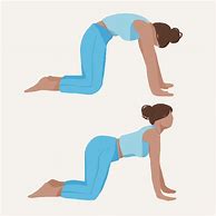 Image result for Mid Back Stretches