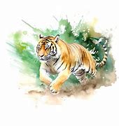 Image result for Tiger Box Design