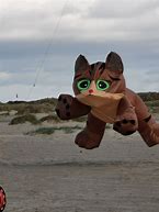 Image result for Inflatable Kite Cat