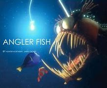 Image result for Angler Fish Nemo