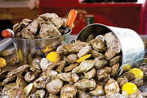 Image result for Lowcountry Oyster Roast Party