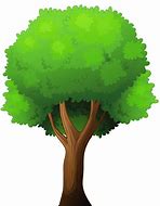 Image result for Tree Pictures Clip Art