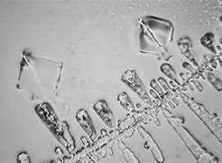 Image result for Grief Tears Under Microscope