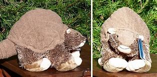 Image result for Glyptodon Plush Toy