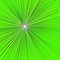 Image result for Australian Lime One Green World