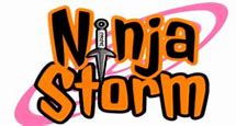 Image result for Ninja Storm 2 Logo